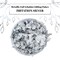 U.S. Art Supply Metallic Foil Schabin Gilding Imitation Silver Leaf Flakes, 10 Gram Bottle - Gild Picture Frames, Decorate Epoxy Resin, Nails, Jewelry